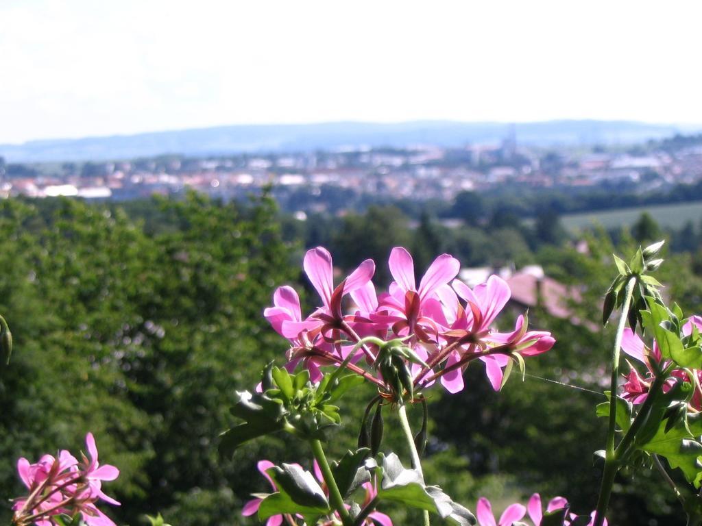Penzion Kalina Tábor Chambre photo